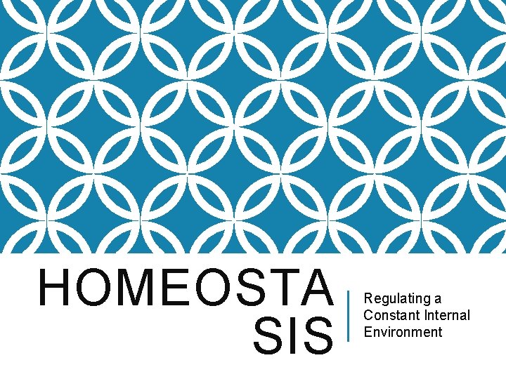 HOMEOSTA SIS Regulating a Constant Internal Environment 