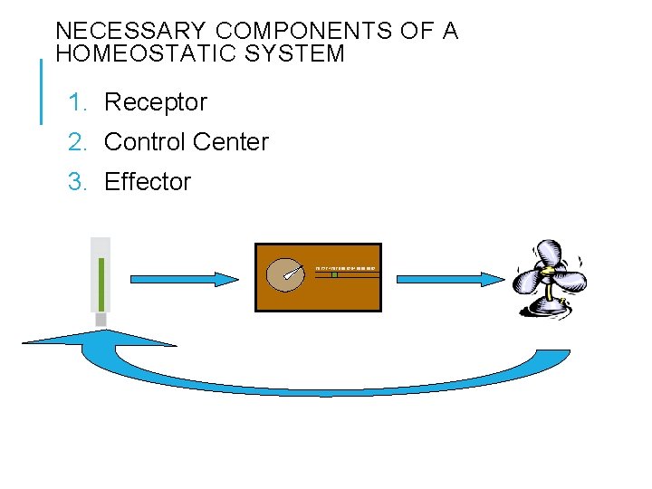 NECESSARY COMPONENTS OF A HOMEOSTATIC SYSTEM 1. Receptor 2. Control Center 3. Effector 70