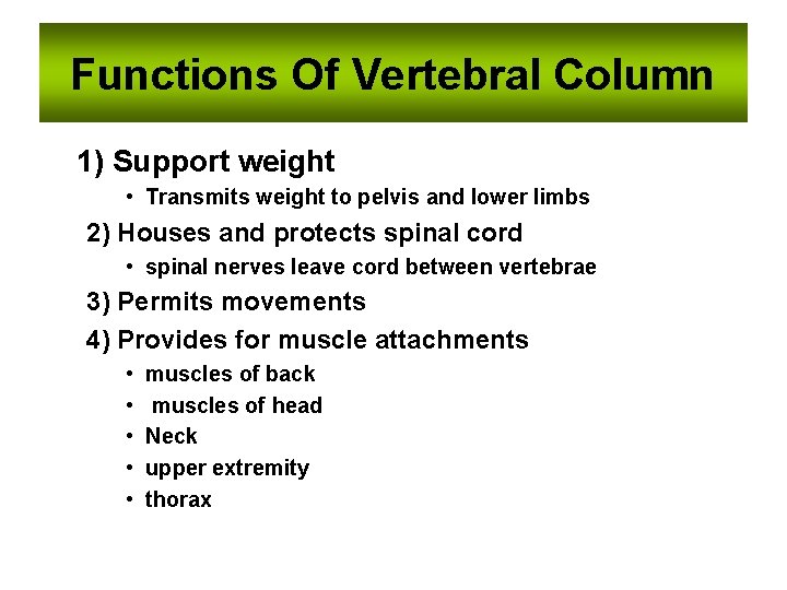 Functions Of Vertebral Column 1) Support weight • Transmits weight to pelvis and lower