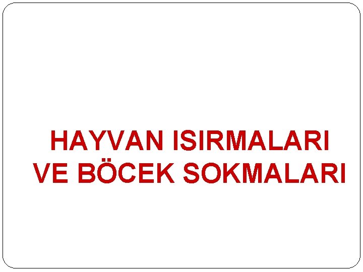 HAYVAN ISIRMALARI VE BÖCEK SOKMALARI 