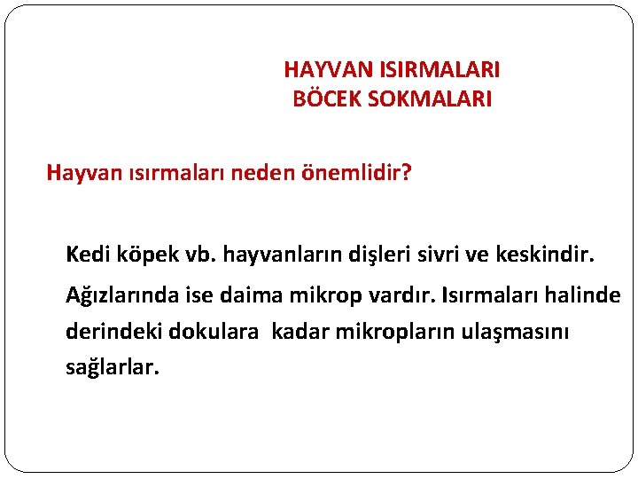 HAYVAN ISIRMALARI BÖCEK SOKMALARI Hayvan ısırmaları neden önemlidir? Kedi köpek vb. hayvanların dişleri sivri