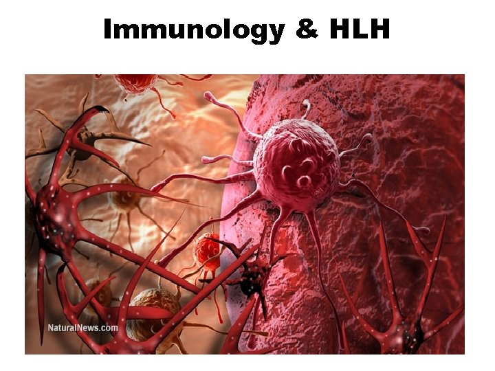 Immunology & HLH 