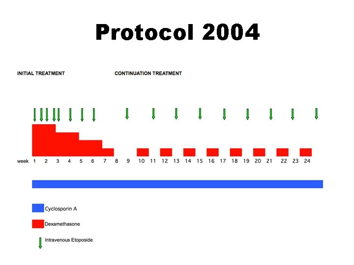 Protocol 2004 