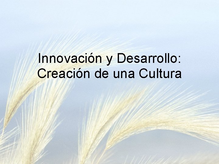 Innovación y Desarrollo: Creación de una Cultura 