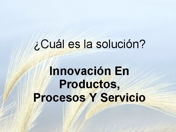 ¿Cuál es la solución? Innovación En Productos, Procesos Y Servicio 