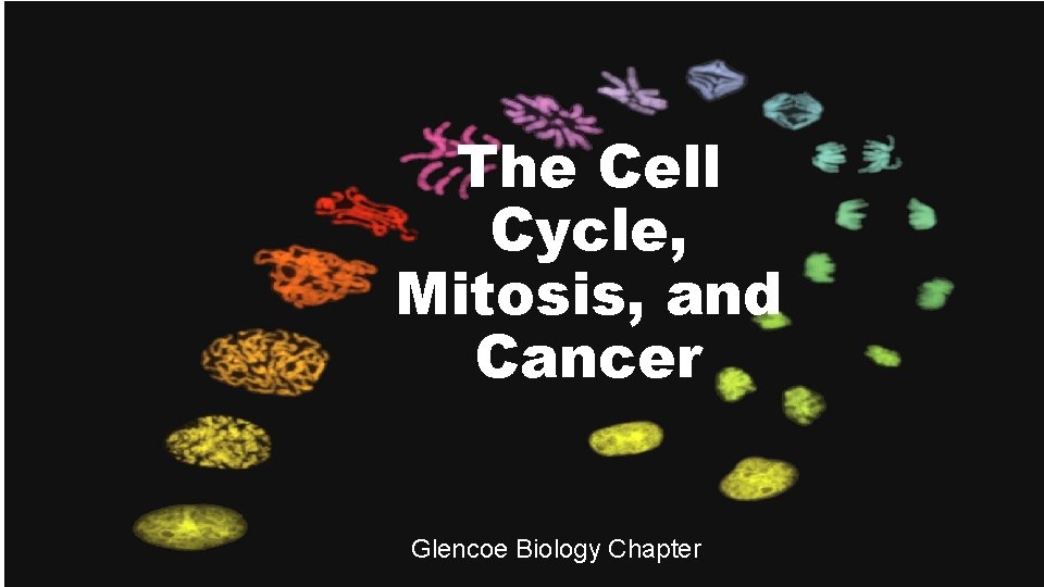 The Cell Cycle, Mitosis, and Cancer Glencoe Biology Chapter 