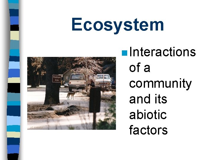 Ecosystem n Interactions of a community and its abiotic factors 