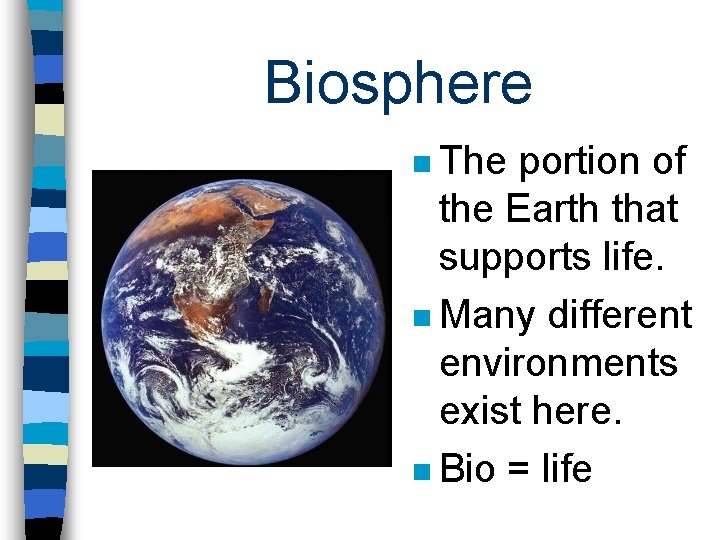 Biosphere n The portion of the Earth that supports life. n Many different environments