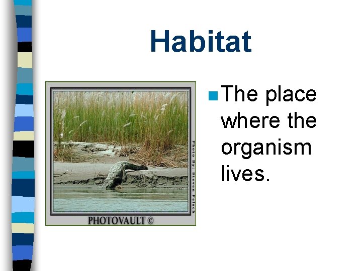 Habitat n The place where the organism lives. 