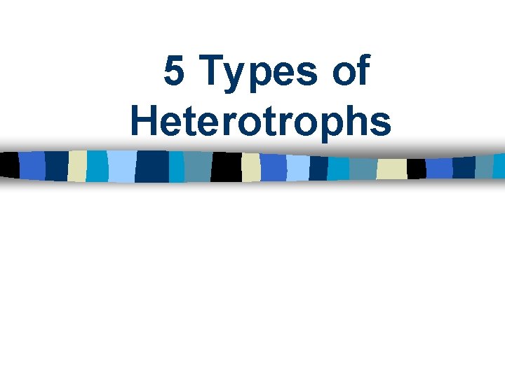 5 Types of Heterotrophs 