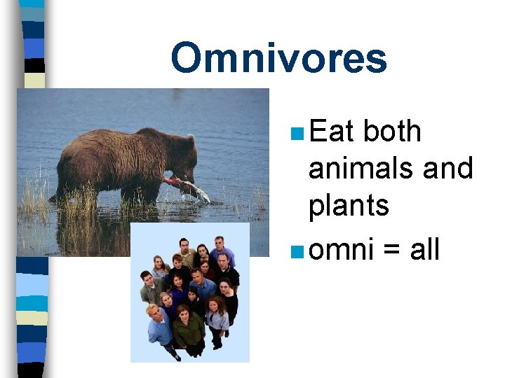 Omnivores n Eat both animals and plants n omni = all 