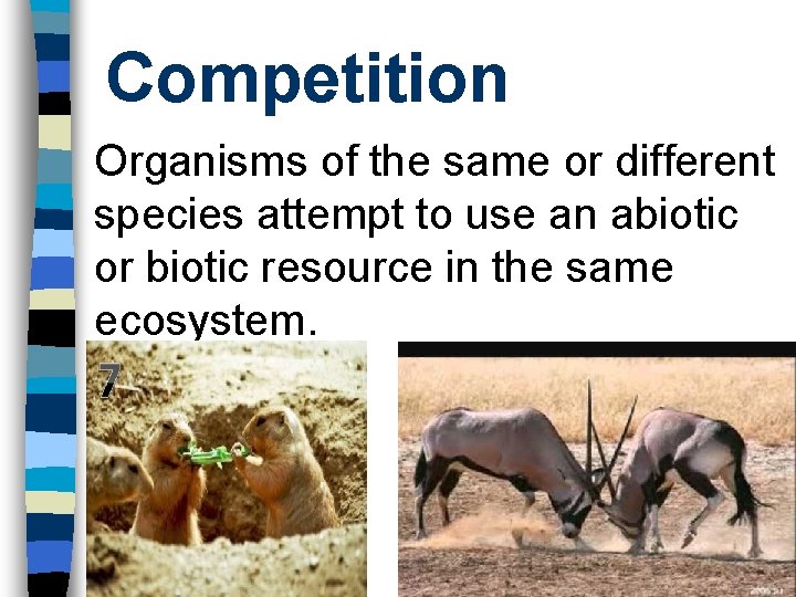 Competition Organisms of the same or different species attempt to use an abiotic or