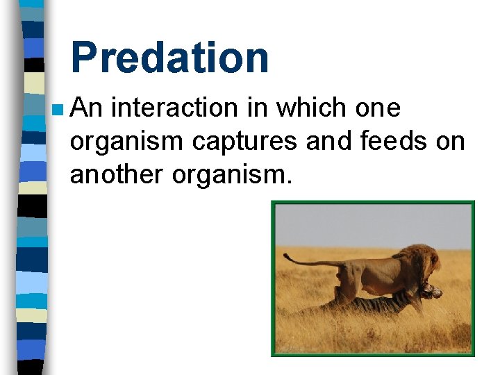 Predation n An interaction in which one organism captures and feeds on another organism.