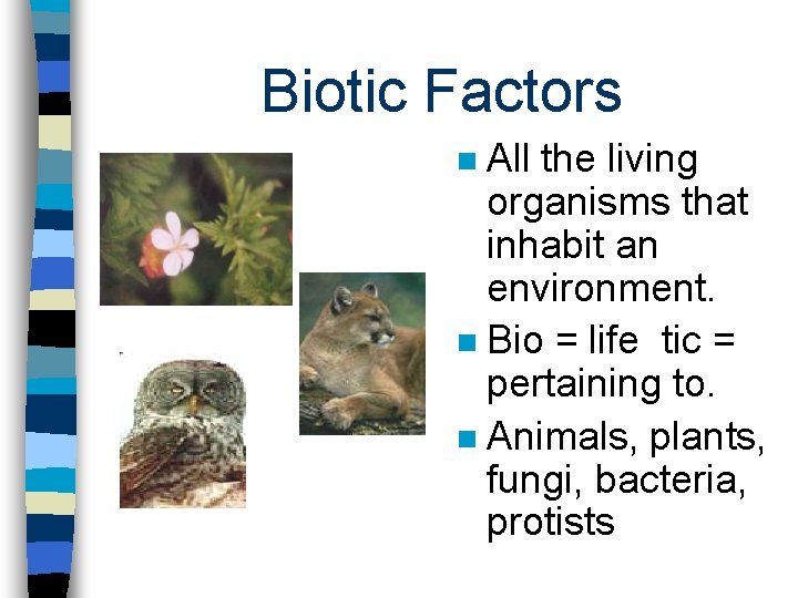 Biotic Factors All the living organisms that inhabit an environment. n Bio = life