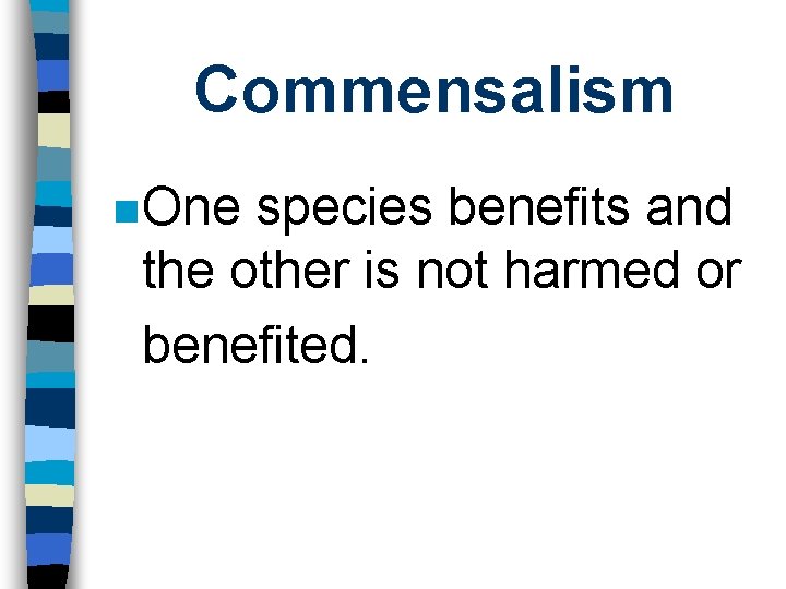 Commensalism n One species benefits and the other is not harmed or benefited. 