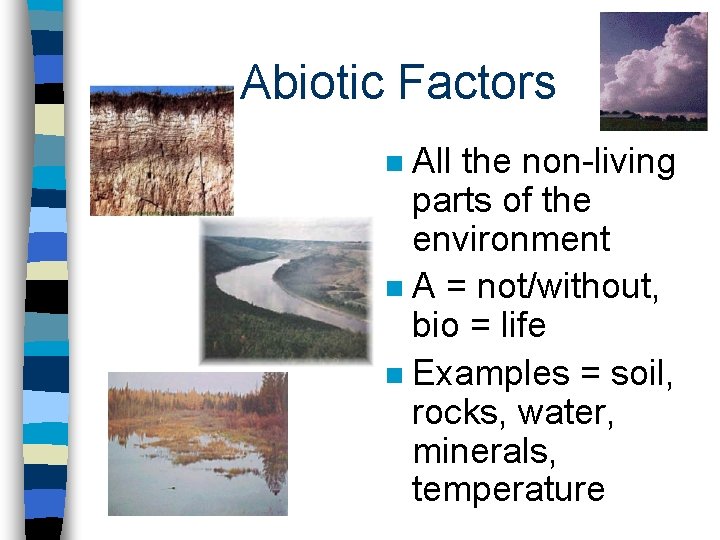 Abiotic Factors All the non-living parts of the environment n A = not/without, bio