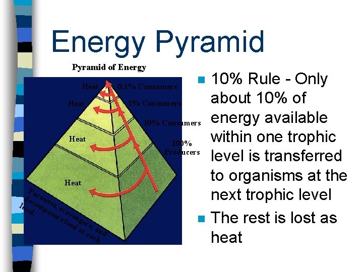 Energy Pyramid of Energy Heat 0. 1% Consumers n 1% Consumers 10% Consumers Heat