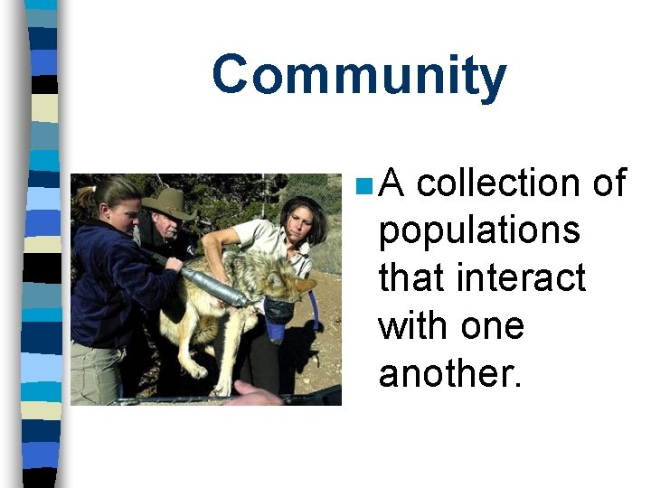 Community n. A collection of populations that interact with one another. 