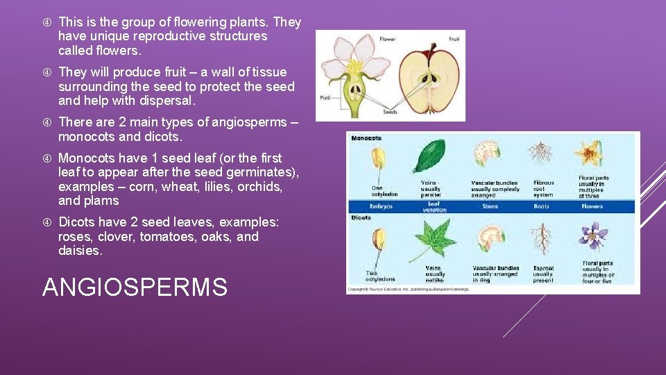  This is the group of flowering plants. They have unique reproductive structures called
