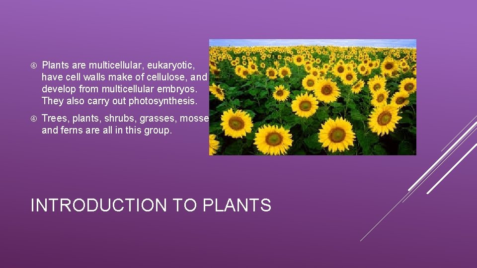  Plants are multicellular, eukaryotic, have cell walls make of cellulose, and develop from