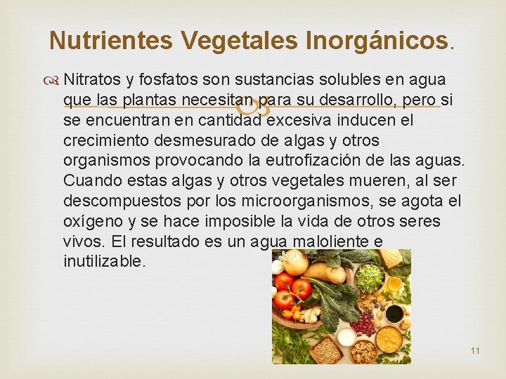 Nutrientes Vegetales Inorgánicos. Nitratos y fosfatos son sustancias solubles en agua que las plantas