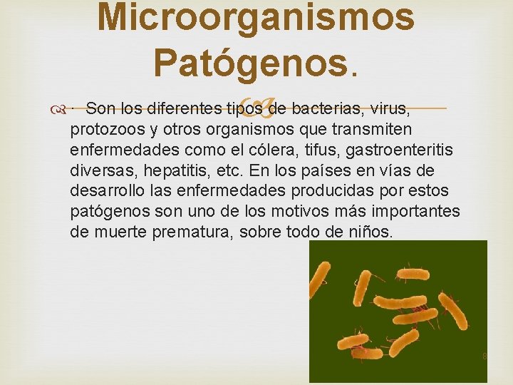 Microorganismos Patógenos. · Son los diferentes tipos de bacterias, virus, protozoos y otros organismos