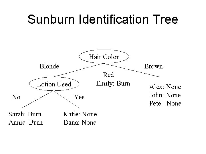 Sunburn Identification Tree Hair Color Blonde Brown Red Emily: Burn Lotion Used No Sarah: