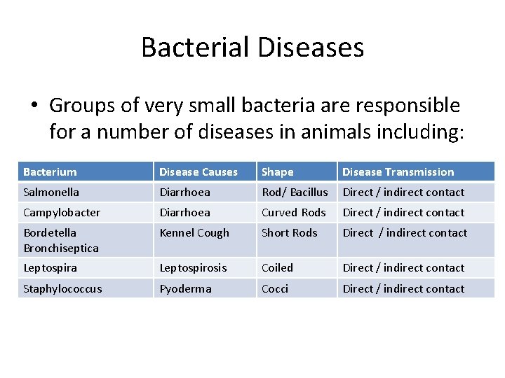 Bacterial Diseases • Groups of very small bacteria are responsible for a number of