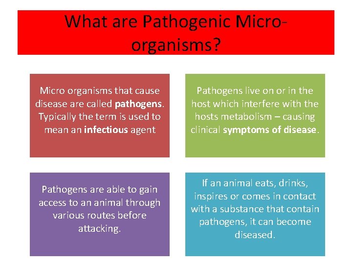 What are Pathogenic Microorganisms? Micro organisms that cause disease are called pathogens. Typically the