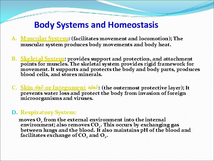 Body Systems and Homeostasis A. Muscular System: (facilitates movement and locomotion); The muscular system