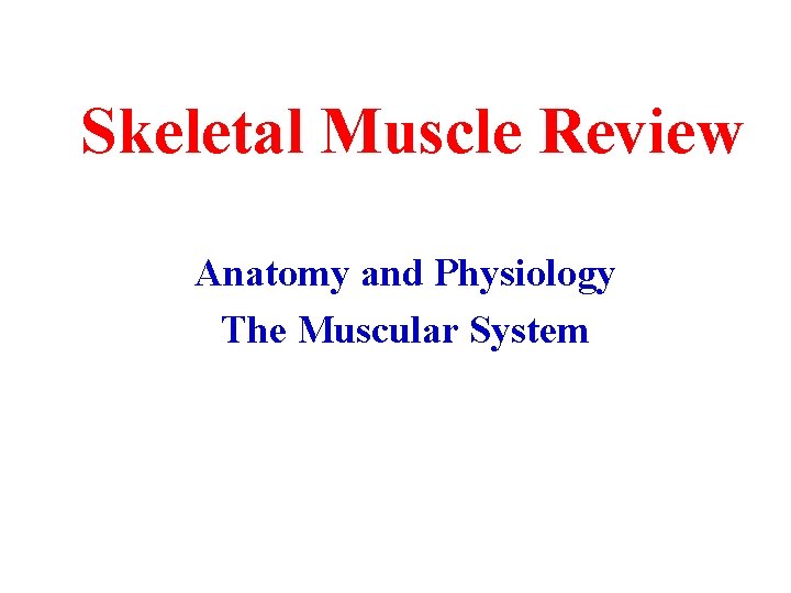 Skeletal Muscle Review Anatomy and Physiology The Muscular