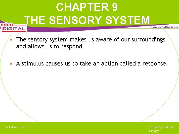 CHAPTER 9 THE SENSORY SYSTEM • The sensory system makes us aware of our