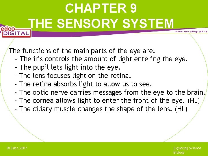 CHAPTER 9 THE SENSORY SYSTEM The functions of the main parts of the eye