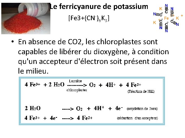 Le ferricyanure de potassium [Fe 3+(CN-)6 K 3] • En absence de CO 2,