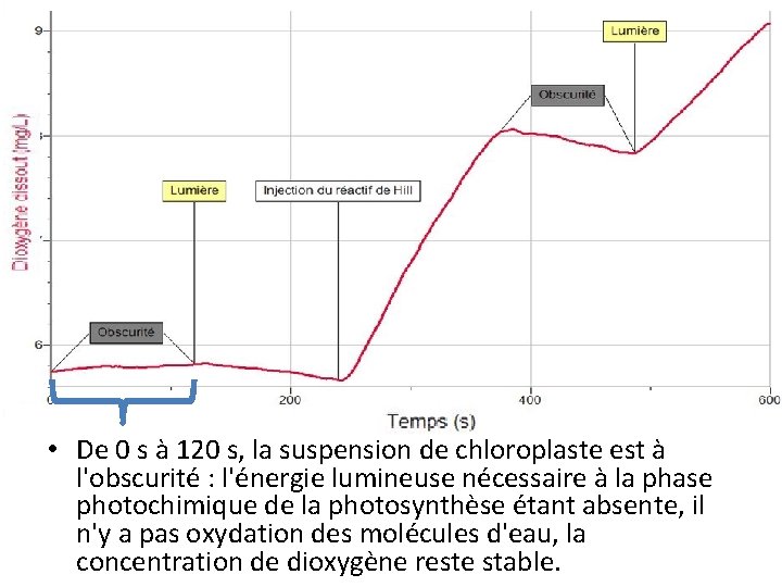  • De 0 s à 120 s, la suspension de chloroplaste est à