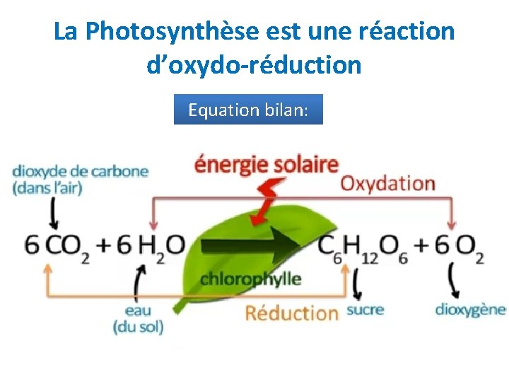 La Photosynthèse est une réaction d’oxydo-réduction Equation bilan: 