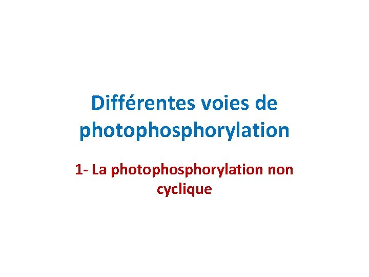 Différentes voies de photophosphorylation 1 - La photophosphorylation non cyclique 