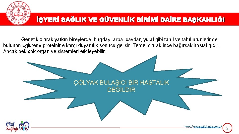 İŞYERİ SAĞLIK VE GÜVENLİK BİRİMİ DAİRE BAŞKANLIĞI Genetik olarak yatkın bireylerde, buğday, arpa, çavdar,