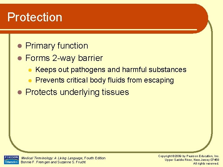 Protection Primary function l Forms 2 -way barrier l l Keeps out pathogens and