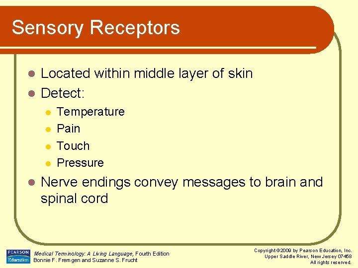 Sensory Receptors Located within middle layer of skin l Detect: l l l Temperature