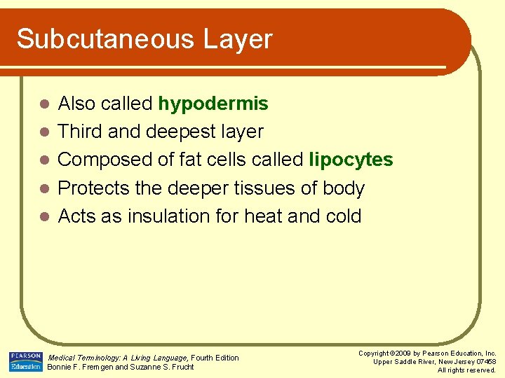 Subcutaneous Layer l l l Also called hypodermis Third and deepest layer Composed of
