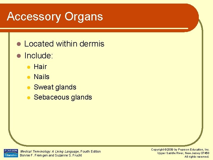 Accessory Organs Located within dermis l Include: l l l Hair Nails Sweat glands