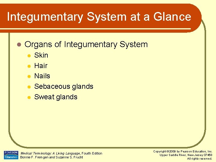 Integumentary System at a Glance l Organs of Integumentary System l l l Skin