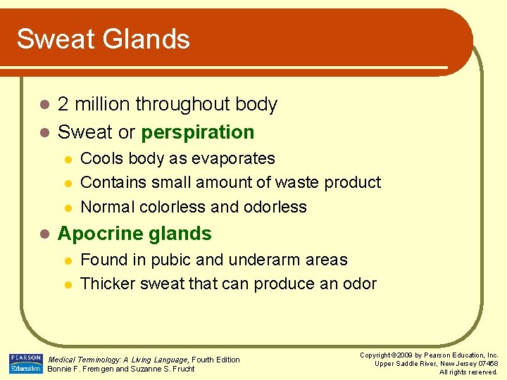 Sweat Glands 2 million throughout body l Sweat or perspiration l l l Cools