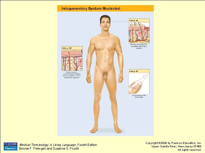 Medical Terminology: A Living Language, Fourth Edition Bonnie F. Fremgen and Suzanne S. Frucht