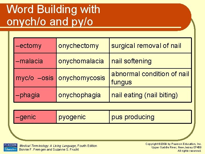 Word Building with onych/o and py/o –ectomy onychectomy surgical removal of nail –malacia onychomalacia