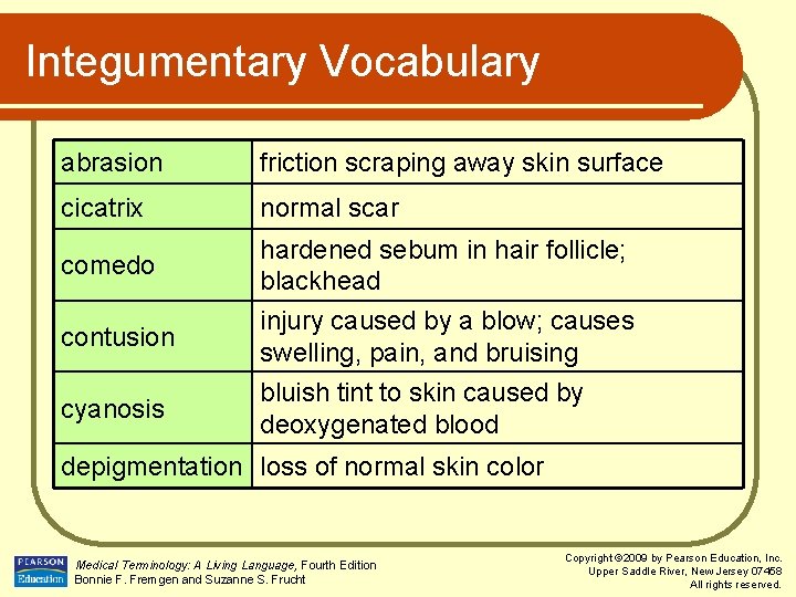 Integumentary Vocabulary abrasion friction scraping away skin surface cicatrix normal scar comedo contusion cyanosis