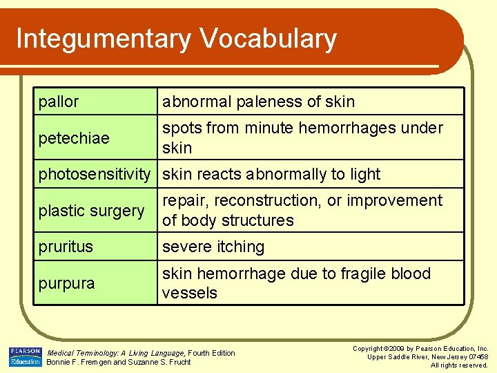 Integumentary Vocabulary pallor abnormal paleness of skin petechiae spots from minute hemorrhages under skin