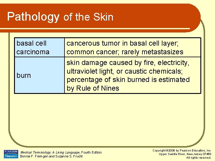 Pathology of the Skin basal cell carcinoma cancerous tumor in basal cell layer; common