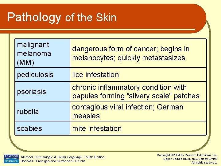 Pathology of the Skin malignant melanoma (MM) dangerous form of cancer; begins in melanocytes;